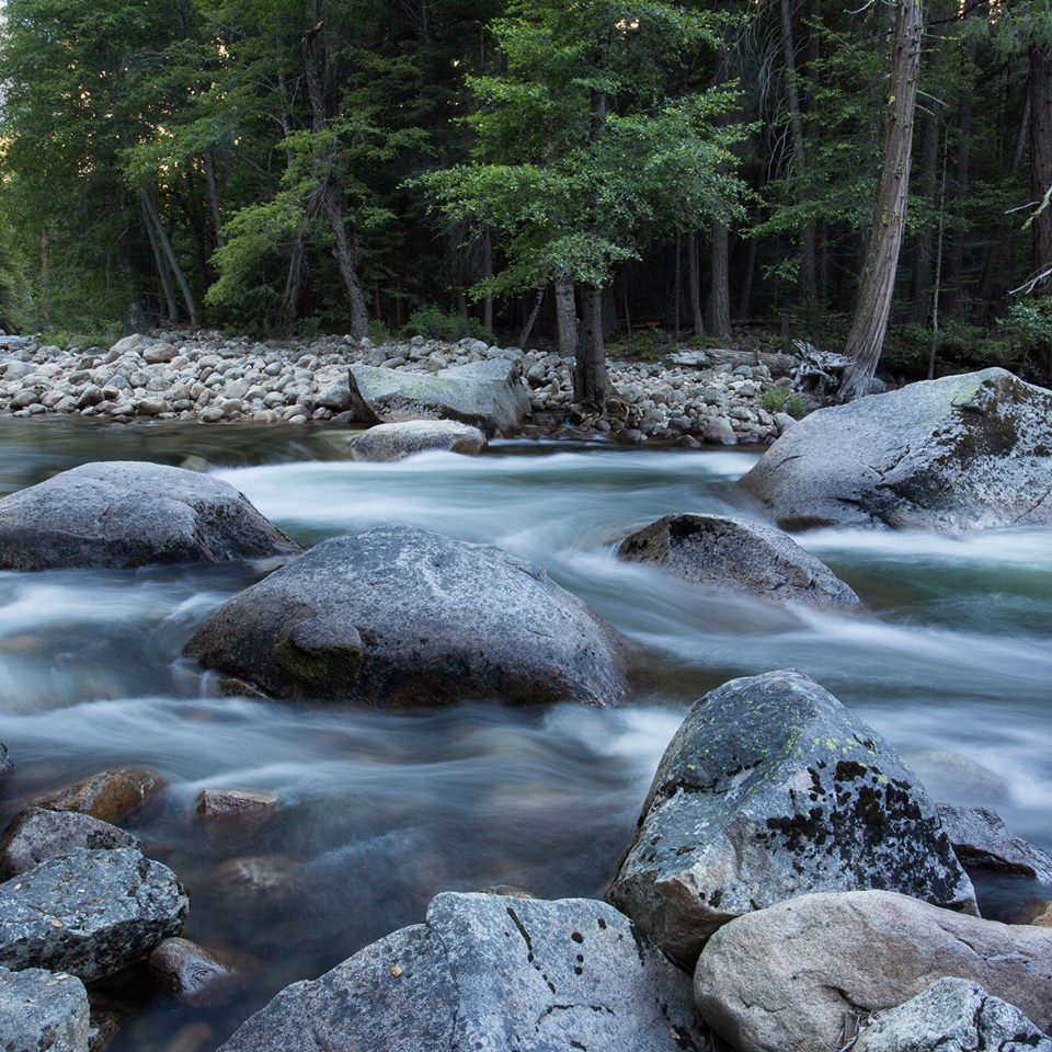 Close Up of Stream
